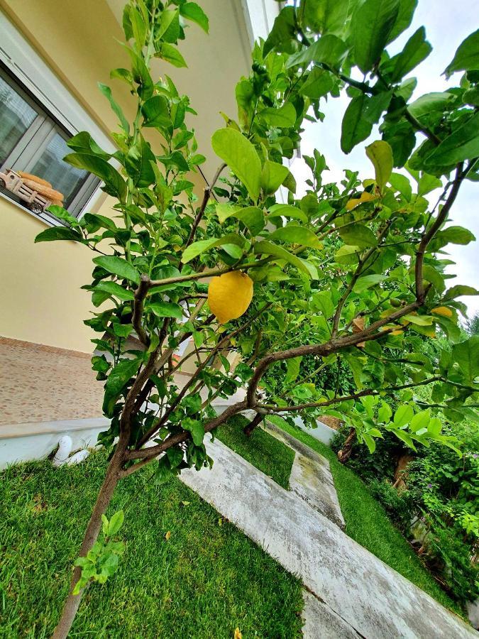 Apartamenty Rodzinne Καμένα Βούρλα Εξωτερικό φωτογραφία
