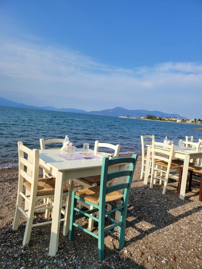 Apartamenty Rodzinne Καμένα Βούρλα Εξωτερικό φωτογραφία
